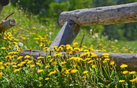 Appartamenti Sissi - Foto 18