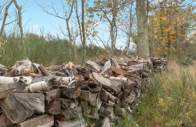 "Aida" - 400m from the sea - Photo 8