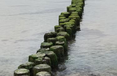 Ferienwohnung BoddenBee - Foto 17