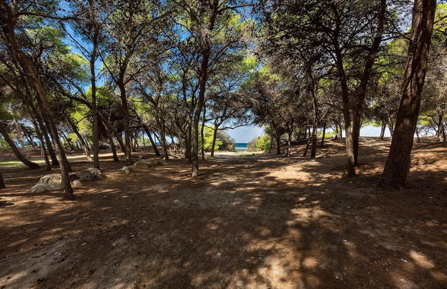 2517 Villetta Lido La Pineta by Barbarhouse - Foto 13