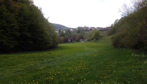 Lavender Hill - Foto 4