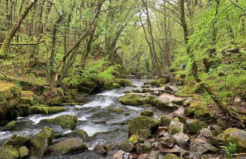 Horseshoe Cottage - Foto 53