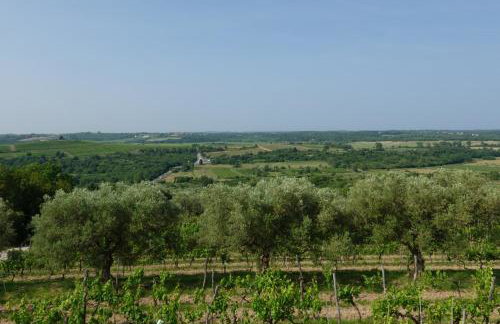 Villa Sofia - Foto 2