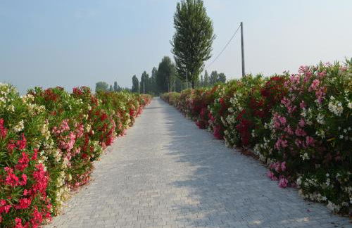 Characteristic Apartment in Codigoro With Pool - Foto 43