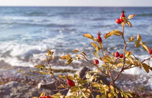 Apartment Dat Lütje 516 by Interhome - Foto 20