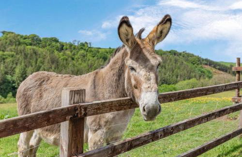 2 Bed in Combe Martin 86938 - Foto 16