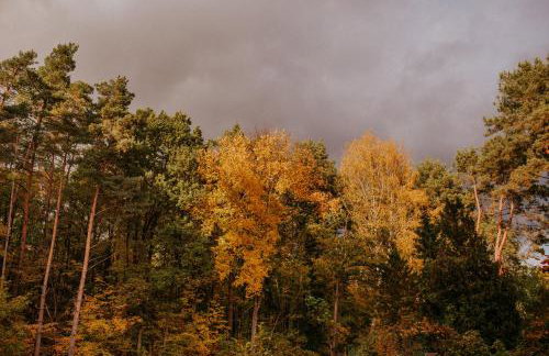 Przylesie 12 - Foto 55