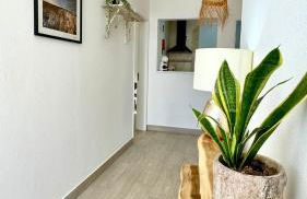 Vela de Estai - Foto 9