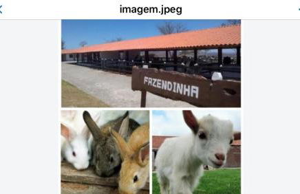 Flat Mobiliado no Condominio Flats Monte Castelo - Gravatá 4B Mod2 - Foto 35