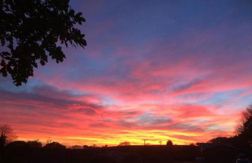 Ty Log Llansteffan - Photo 17