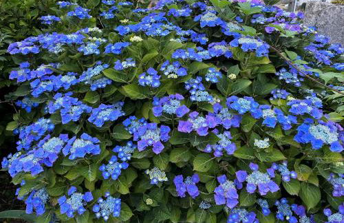 Ty Ar S'Hisel Séjour authentique en Bretagne, plage à 50 m - Holim'prest - Foto 52