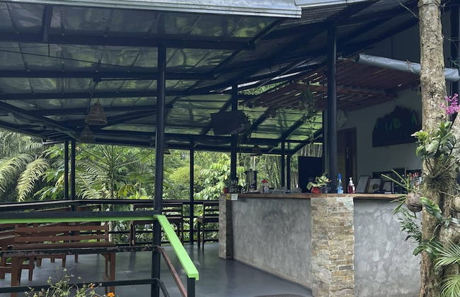 The Twin Studio Cottages - Foto 41