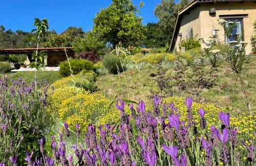 Casa de Vilar de Rei, a tranquilidade do mundo rural - Photo 14