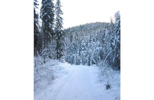 Holiday apartment with 2 bedrooms - Foto 22