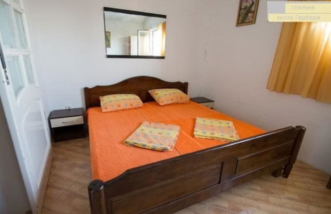 Vila Gerbera - Foto 6