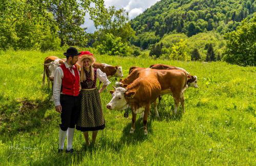 Berghof Almzeit - Fewo "Philosophenstüble", Sauna, Todtnauberg, Feldberg - Foto 22