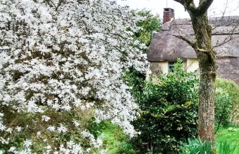 Beck Cottage, Wood Green, New Forest UK - Foto 44