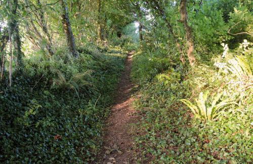 Passion Flower Cottage - E1468 - Foto 17