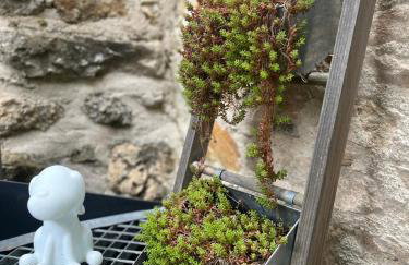 Le refuge des Vignes - Photo 53