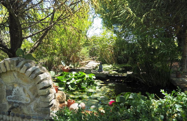 Cozy Vacation House With Pool, Vernegues - Foto 18