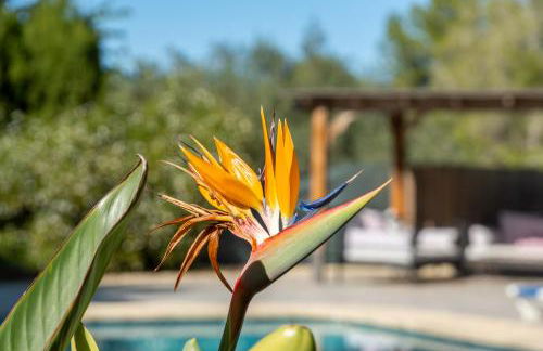 Villa Alegria Villa Apt with Sole Use of Private Pool - Foto 6