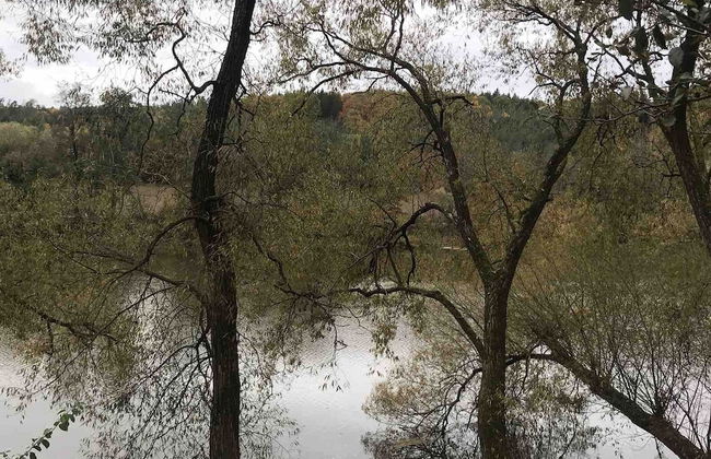 Sazava River Cottage With Boating Experience - Foto 18