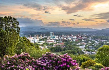 Treetops Cabin easy to Asheville with fast wifi and great view - Foto 24