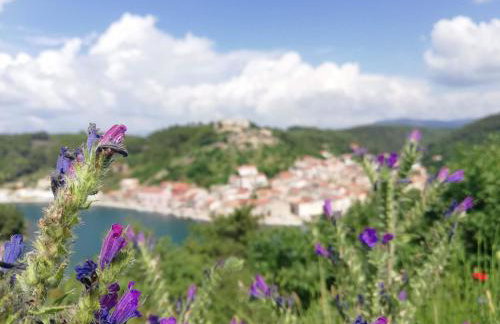 Villa Eximia Novigrad - Photo 31