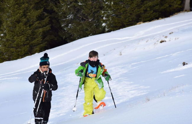 Holiday Apartment Allgauer Alpenblick - Foto 13