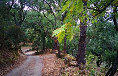 Villa Valeria Moralillo 1 - Foto 32