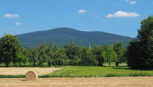 Großzügiges Architektenhaus in Kronberg - Foto 3