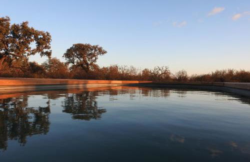 Bubulcus and Bolotas - Off Grid Nature Holiday Home - Foto 11