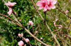 Allin home - Foto 43