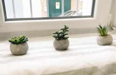 Iberia del Guadalquivir - Photo 21