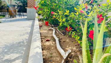 El Riuet-Chalet apartamento a 1 minuto de la playa, Cullera - Foto 2, Garden view