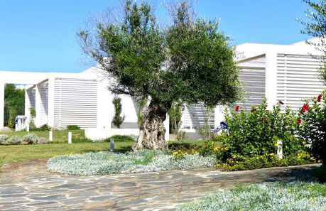 Resort con piscina a soli 250 mt dalla spiaggia La Pelosa - Foto 9