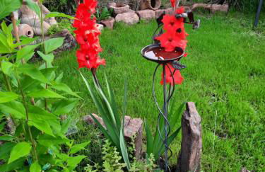 Neugärten - Foto 25