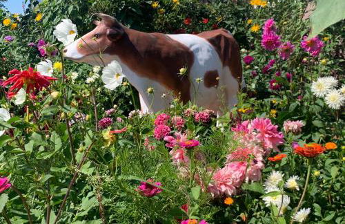 Pilars Fischwerk - Foto 15