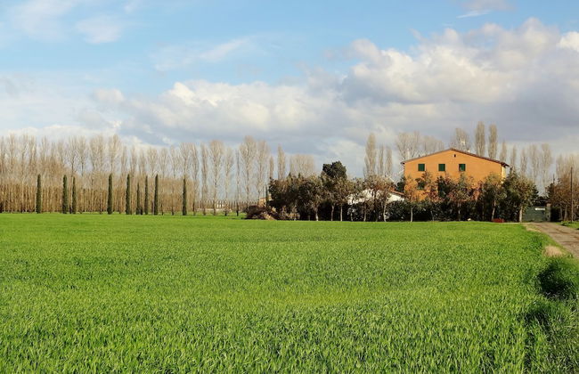 Agriturismo Pinzale - Foto 42