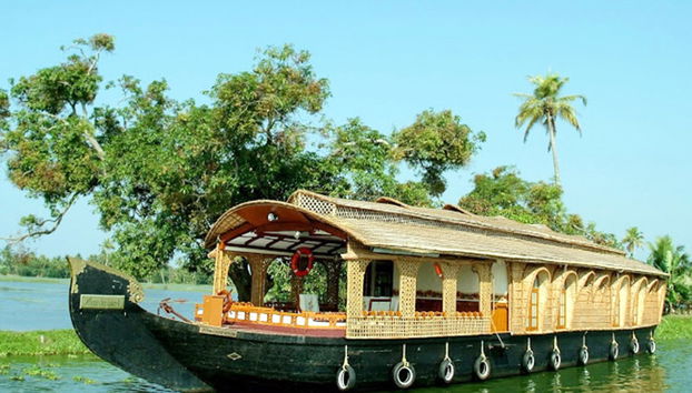 Passeio de Barco em Alleppey - Privado - Foto 3