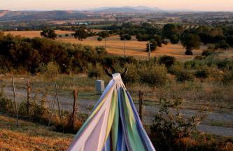 Maremma che vista! - Foto 30
