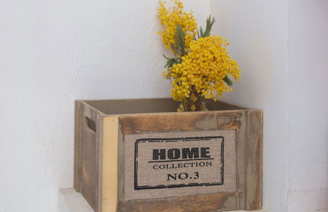 Villa in Vidauban With Pool and BBQ Terrace - Foto 29