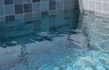 Proa Japaratinga - Foto 10