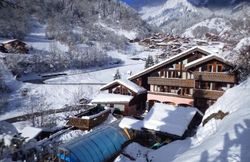 Résidence Les Edelweiss - Foto 3