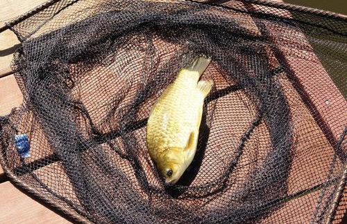 Domki Loft nad Stawem - Foto 40
