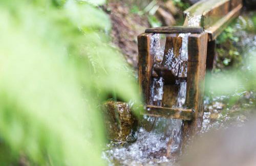 Zum Sonnentor App Pinus - Photo 19