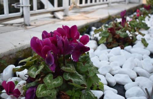 Panorama Γλυκά Νερά - Athens - Foto 10