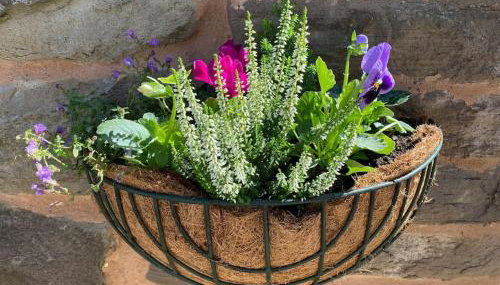 Cygnet Studio - Foto 4, Garden