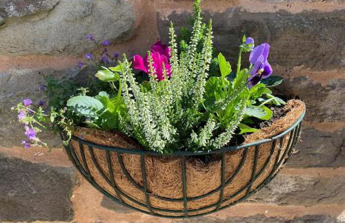 Cygnet Studio - Foto 4