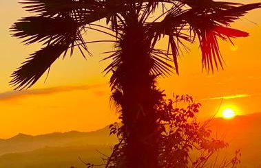 Agriturismo Villa Paradiso Esotico - Photo 15